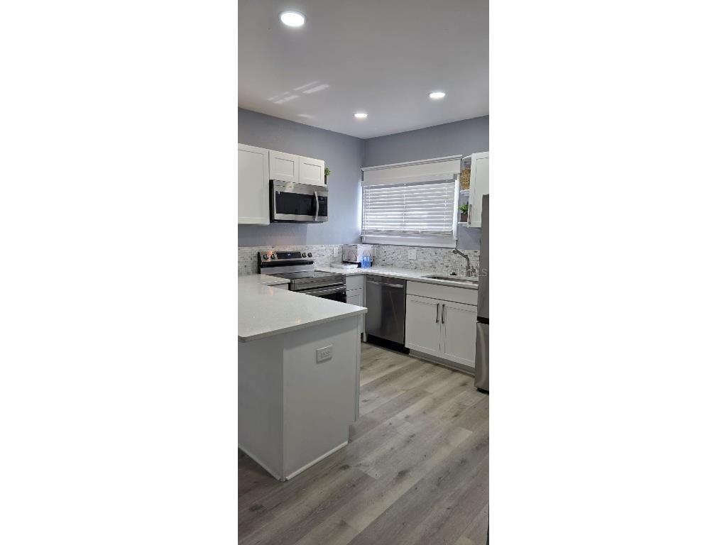 305 E Adalee Street Tampa FL 33603 TB8401517 image7