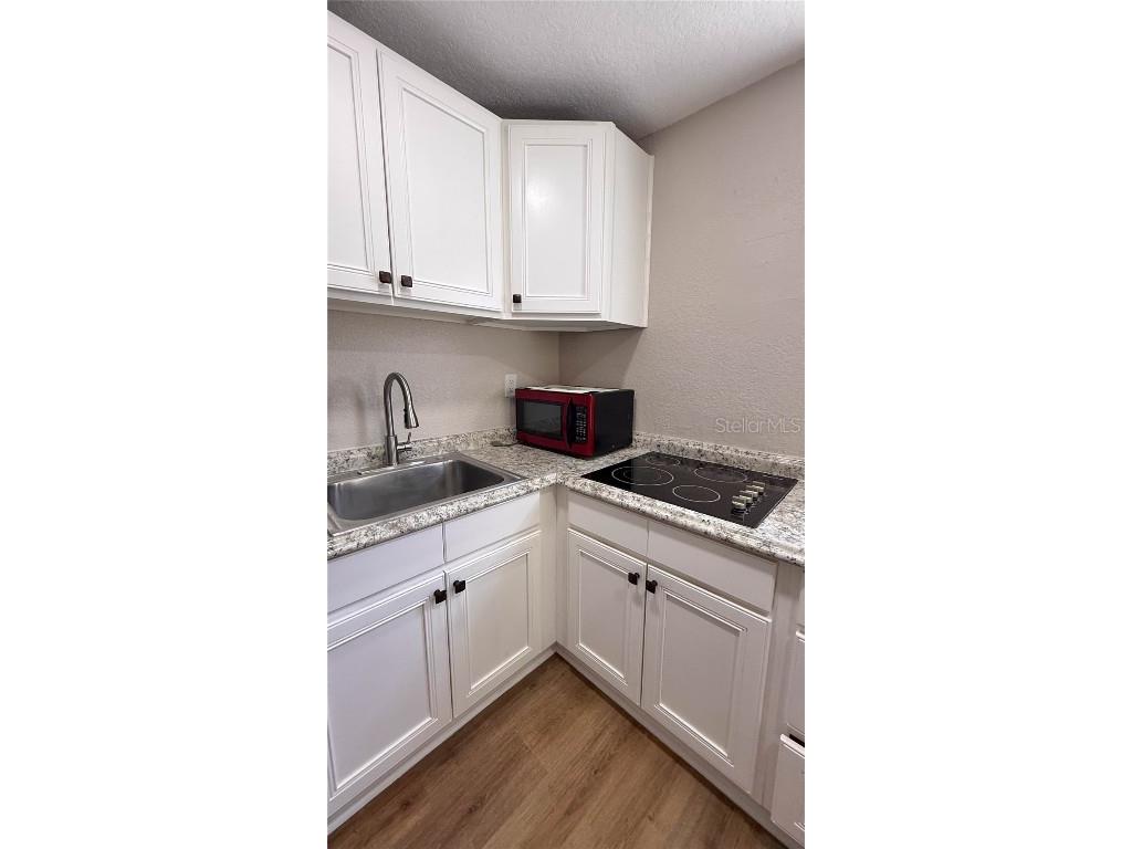 305 E Miami Terrace Kissimmee FL 34741 S5138380 image24