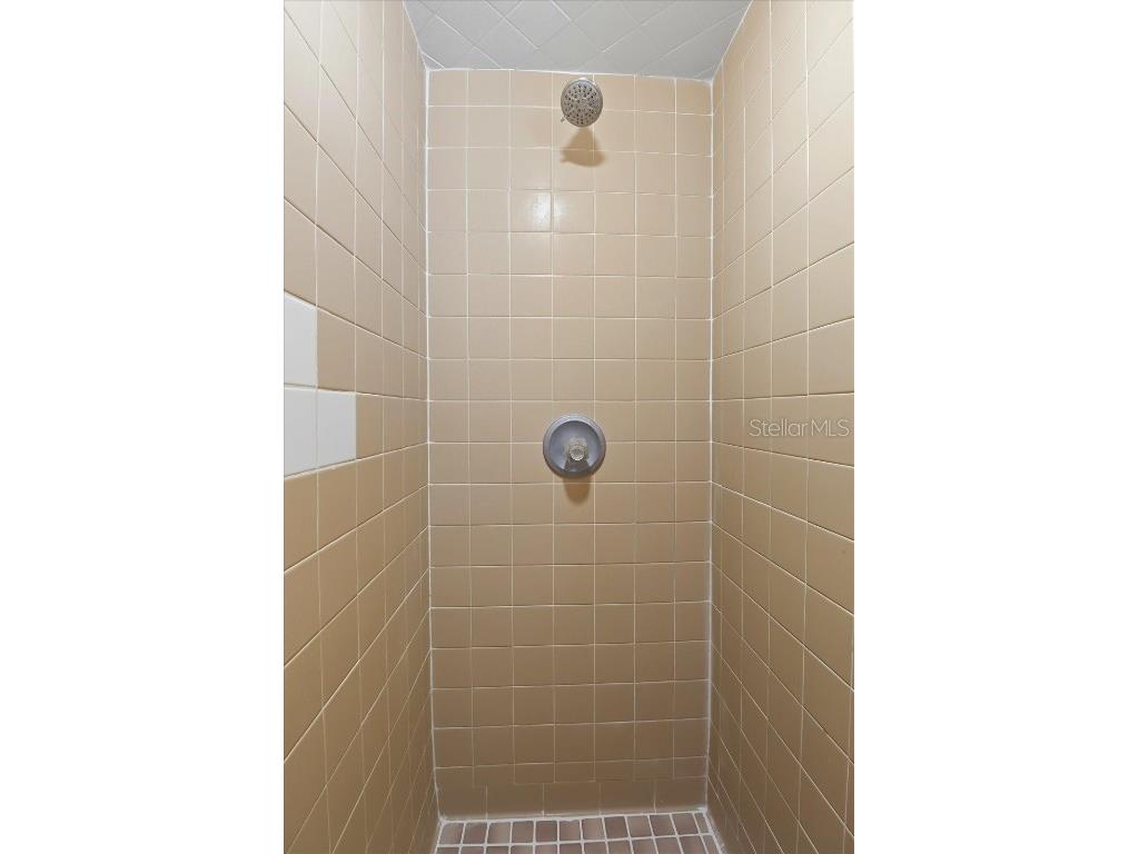 305 Edison Inverness FL 34452 G5102033 image24