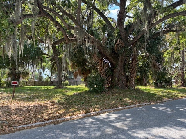 305 Elaine Drive Auburndale FL 33823 P4938263 image6