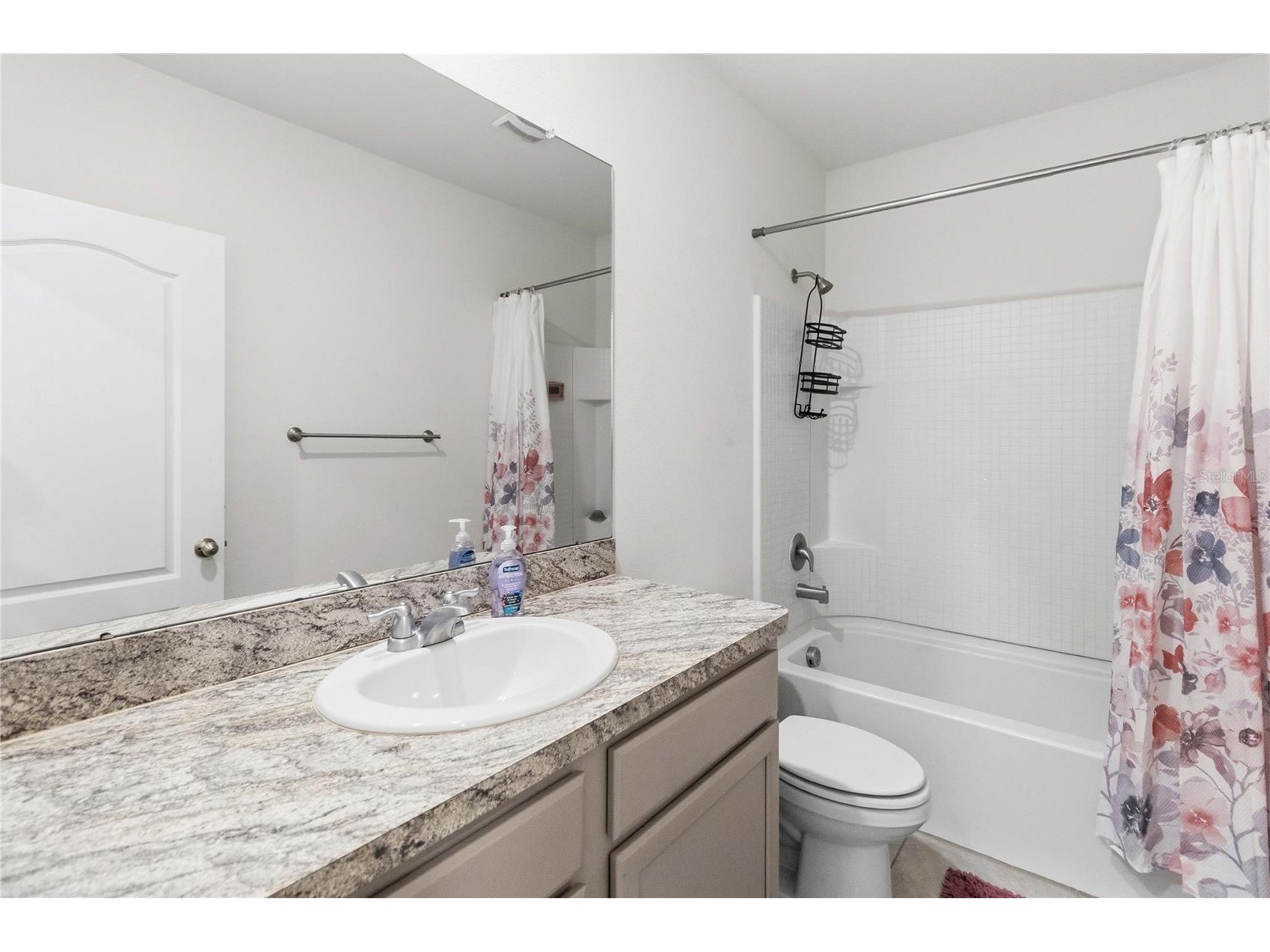 305 Feltrim Reserve Boulevard Davenport FL 33837 S5147827 image8