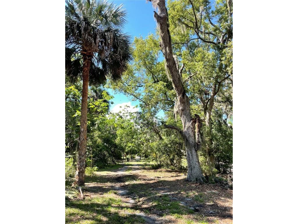 305 Gaines Street Leesburg FL 34748 G5097034 image1