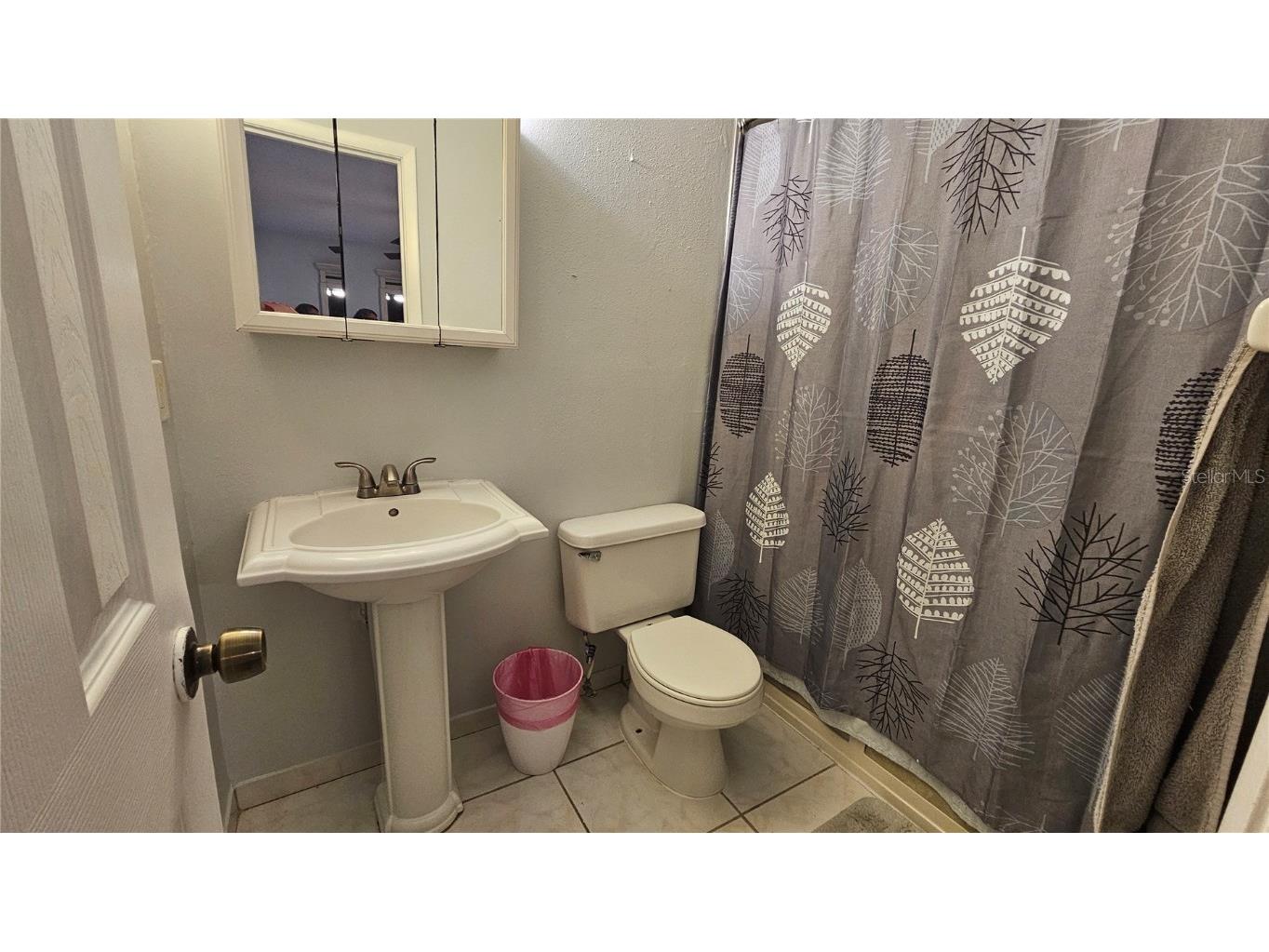 305 Gardenia Road Kissimmee FL 34743 TB8446189 image14