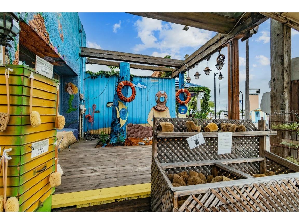 305 Grand Boulevard Tarpon Springs FL 34689 TB8461512 image54