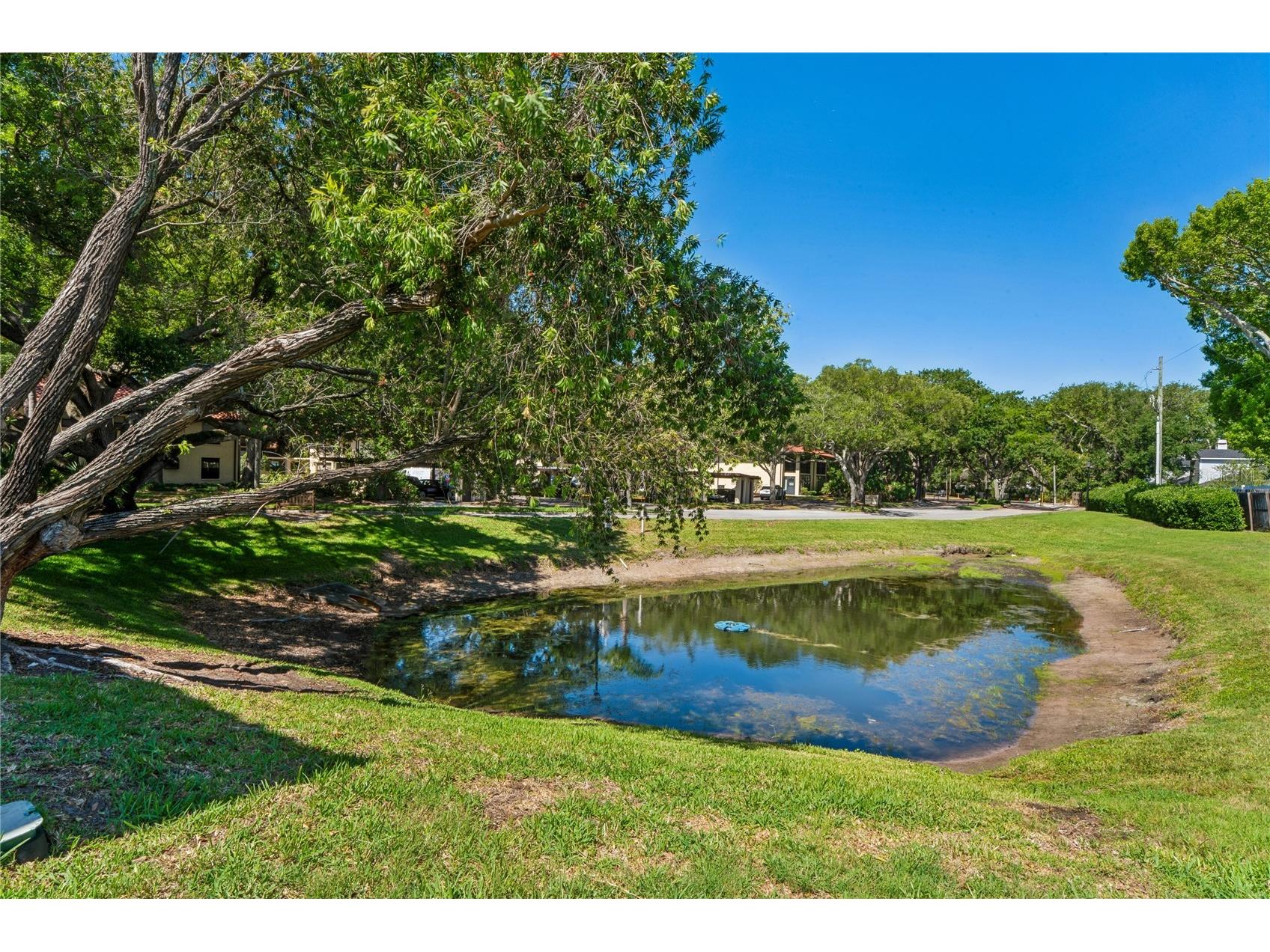 305 Hammock Pine Boulevard #305 Clearwater FL 33761 TB8508910 image27