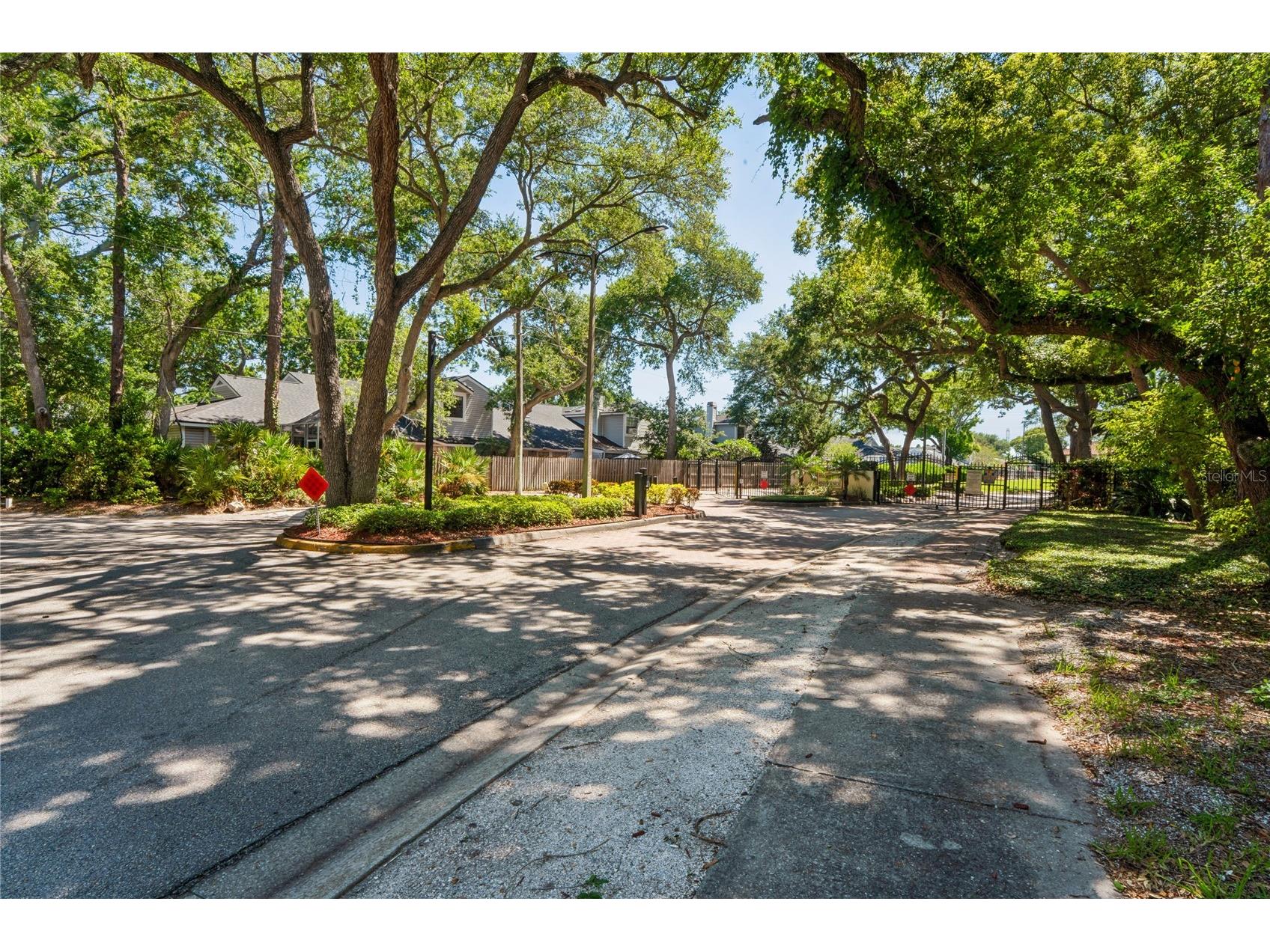 305 Hammock Pine Boulevard #305 Clearwater FL 33761 TB8508910 image38