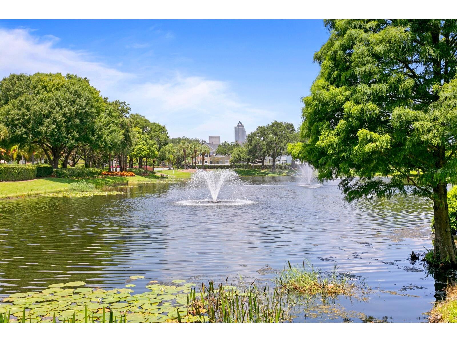 305 Inner Harbour Circle Tampa FL 33602 - SEDDON CHANNEL TB8468093 image47