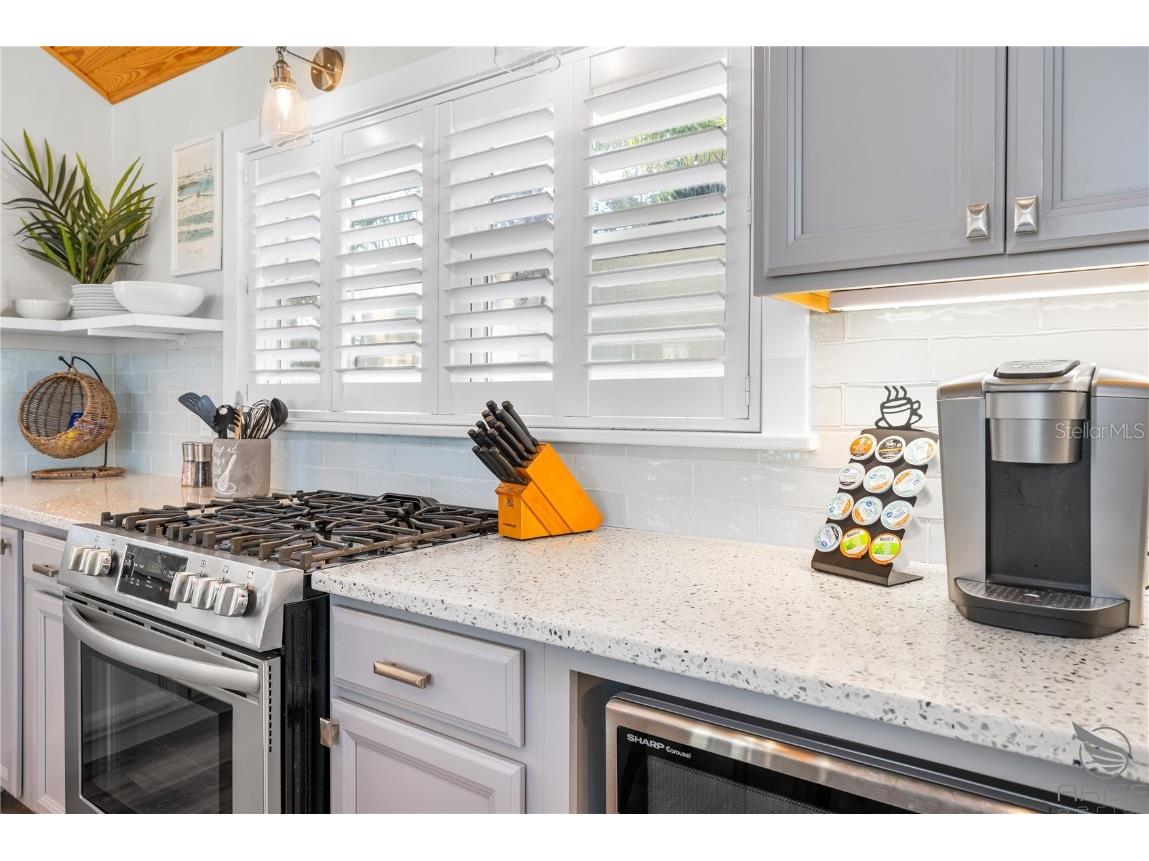 305 Live Oak New Smyrna Beach FL 32168 NS1085360 image21