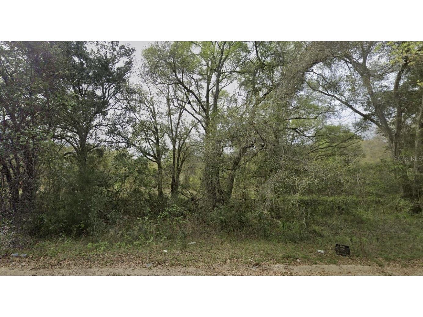 305 Milton Avenue Interlachen FL 32148 OK225383 image1