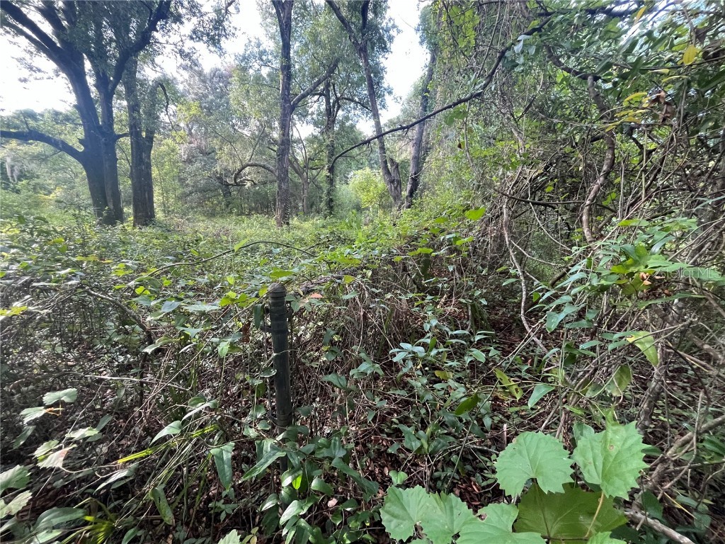 305 Milton Avenue Interlachen FL 32148 OK225383 image3