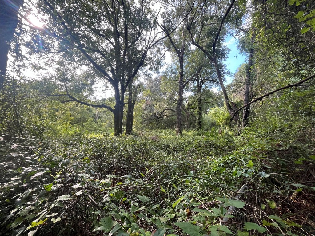 305 Milton Avenue Interlachen FL 32148 OK225383 image4