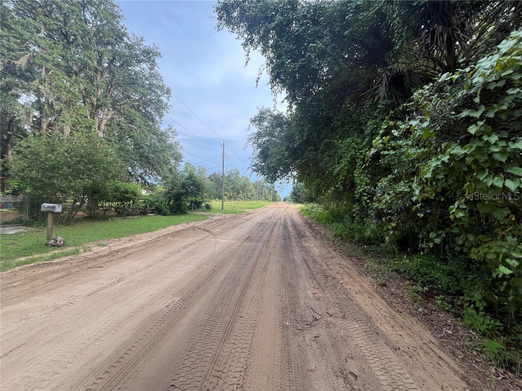 305 Milton Avenue Interlachen FL 32148 OK225383 image6