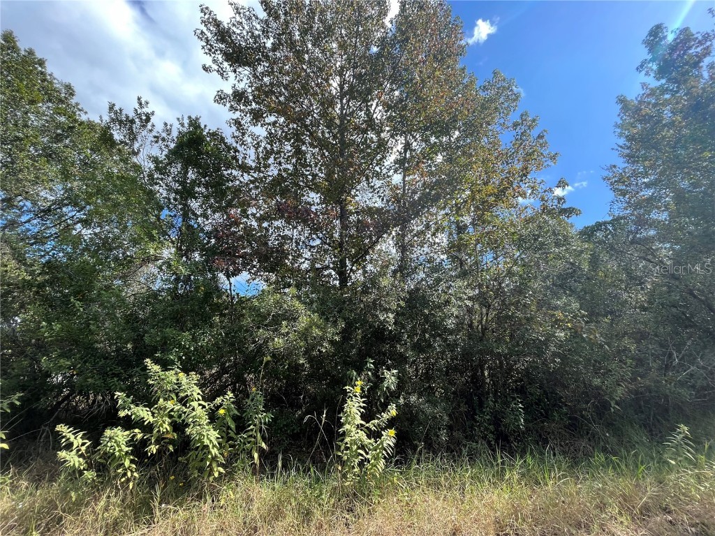 305 NW 8th Avenue Palatka FL 32177 OK223366 image1