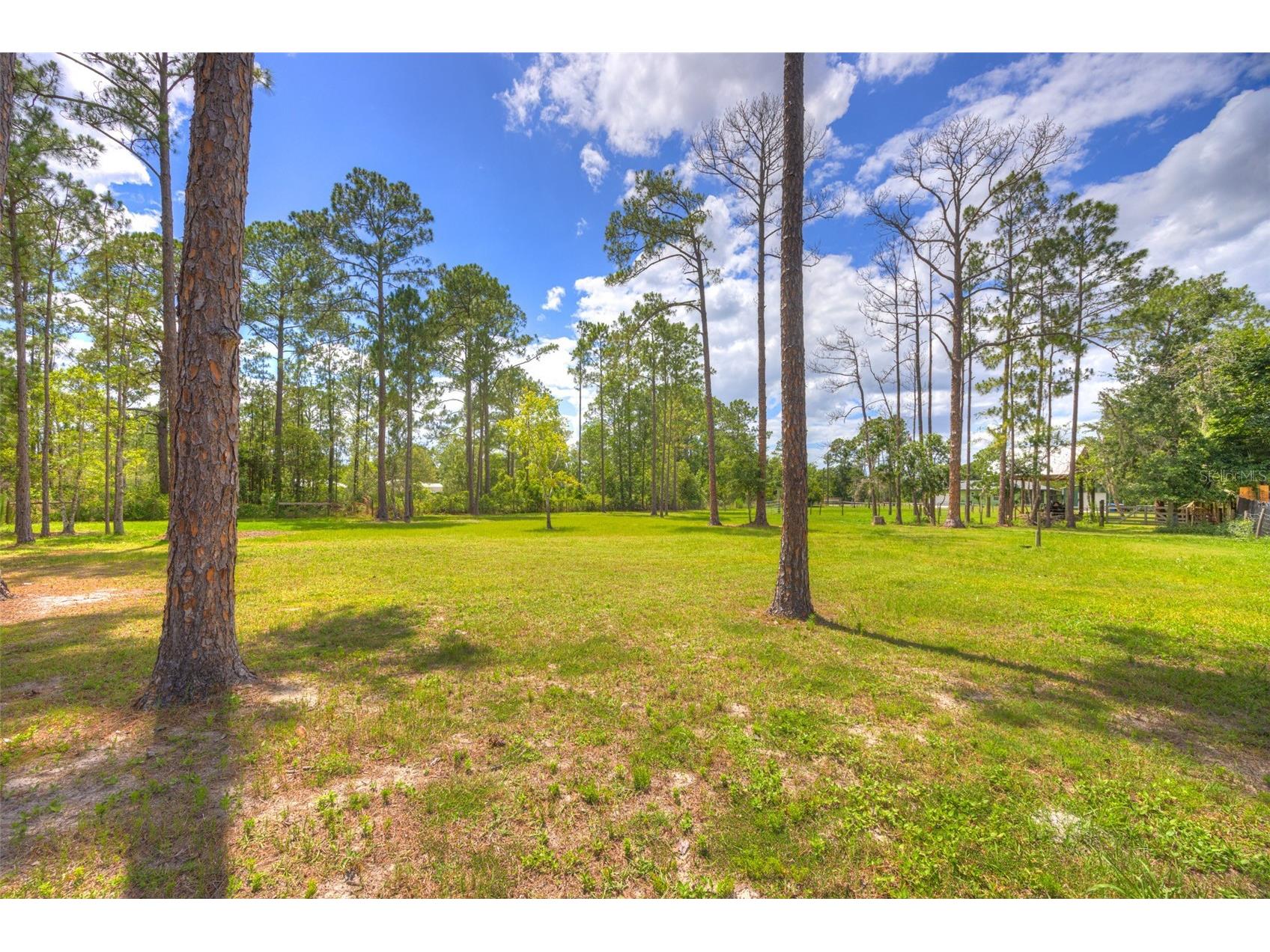 305 Padrick Avenue Deland FL 32720 V4949302 image53