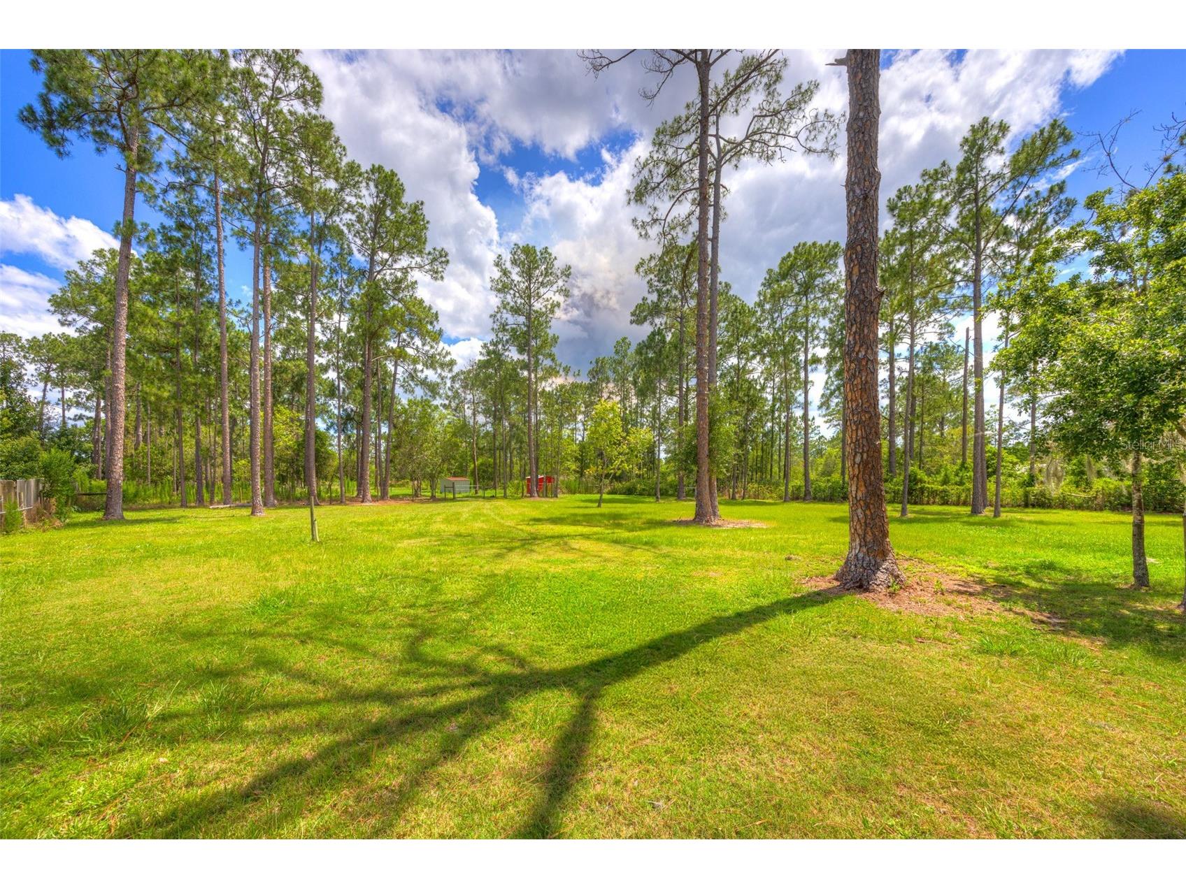 305 Padrick Avenue Deland FL 32720 V4949302 image54