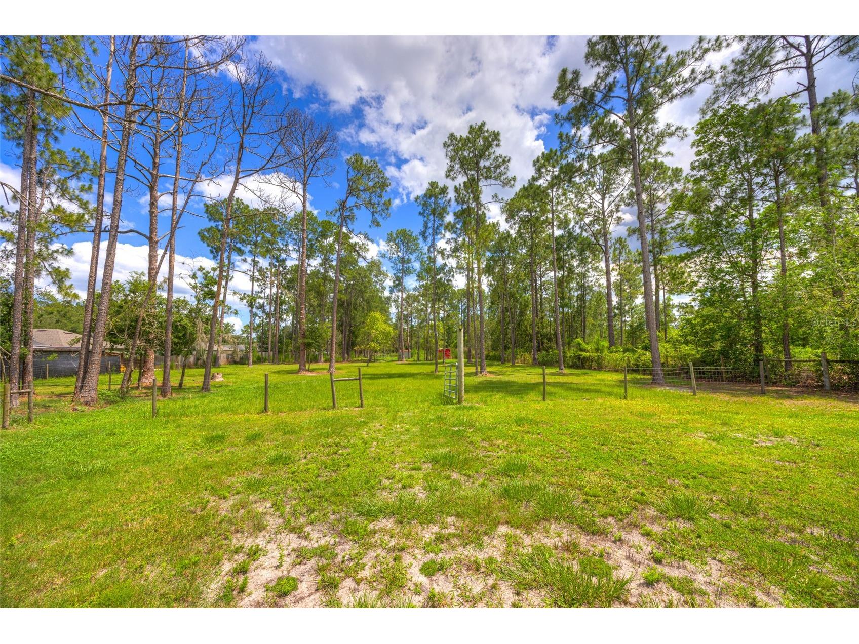 305 Padrick Avenue Deland FL 32720 V4949302 image55