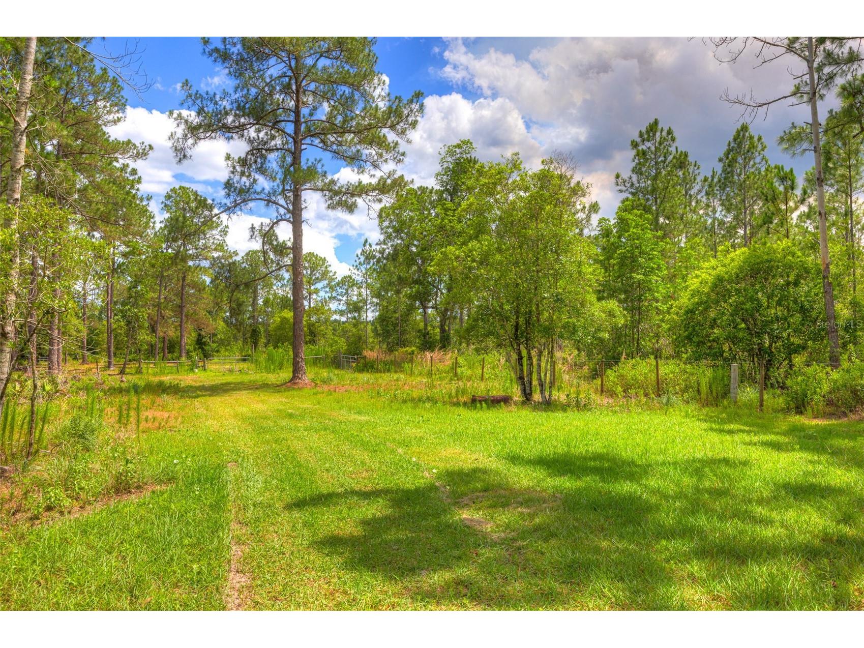 305 Padrick Avenue Deland FL 32720 V4949302 image57