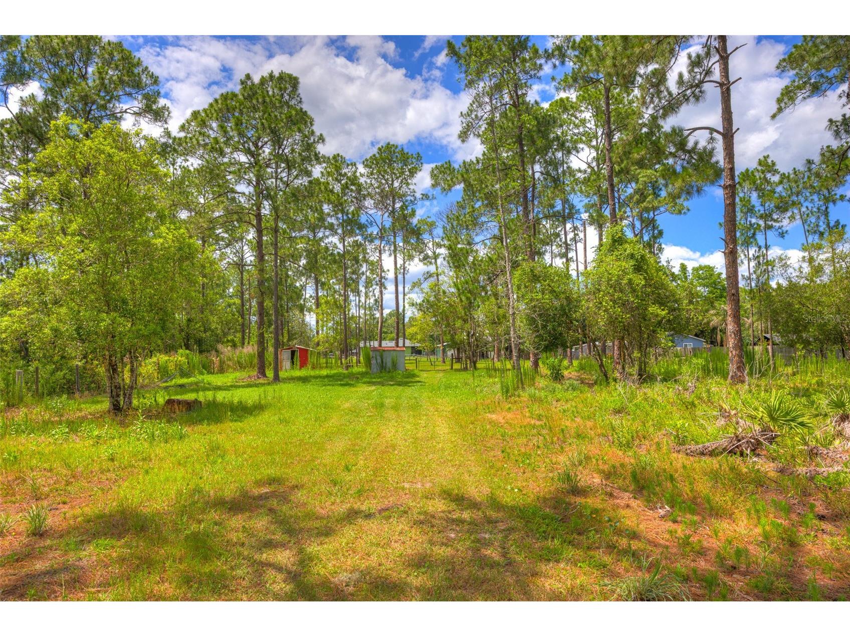305 Padrick Avenue Deland FL 32720 V4949302 image58