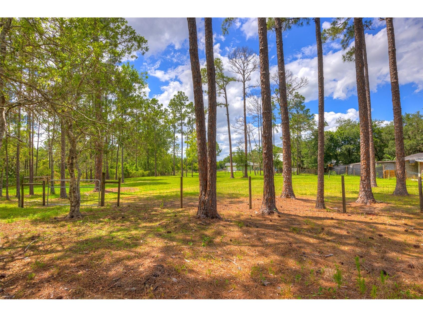 305 Padrick Avenue Deland FL 32720 V4949302 image59