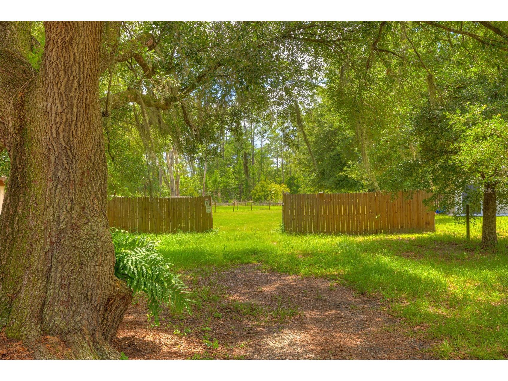 305 Padrick Avenue Deland FL 32720 V4949302 image66