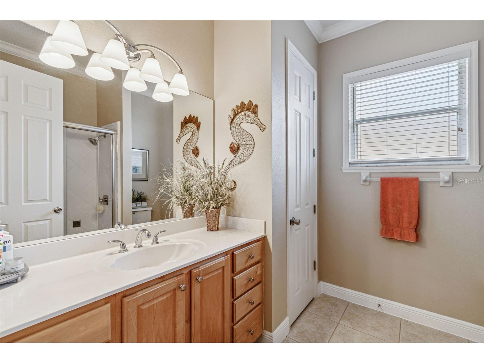 305 Rock Springs Drive Kissimmee FL 34759 S5142040 image38