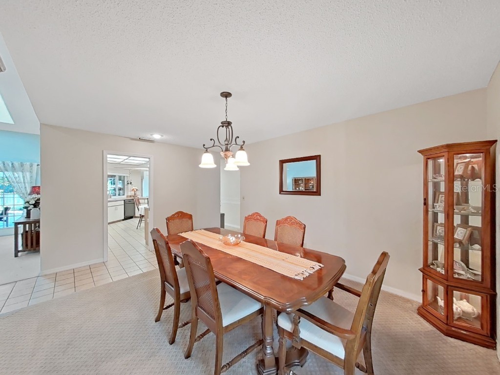 305 Running Horse Road Seffner FL 33584 TB8449747 image30