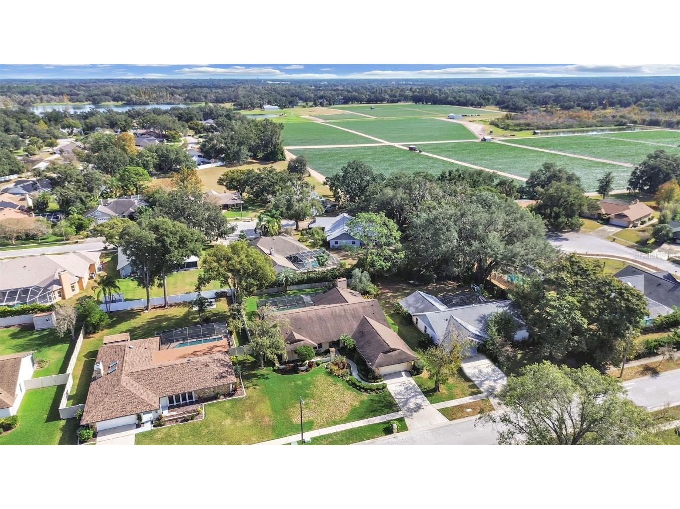 305 Running Horse Road Seffner FL 33584 TB8449747 image4