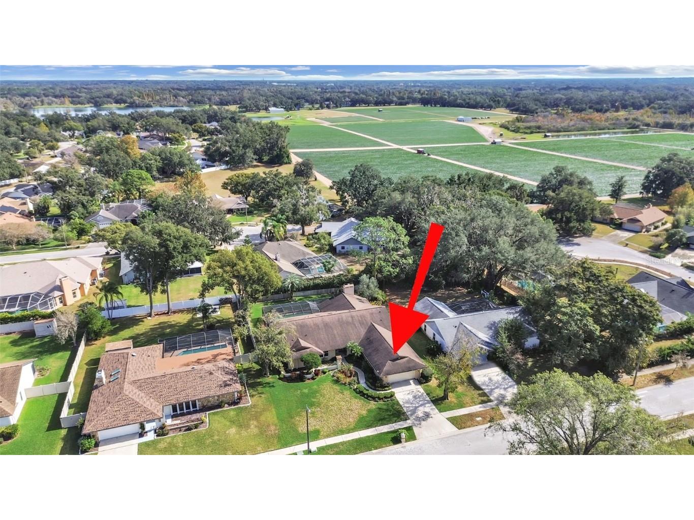 305 Running Horse Road Seffner FL 33584 TB8449747 image5