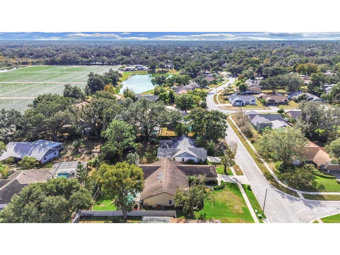 305 Running Horse Road Seffner FL 33584 TB8449747 image6