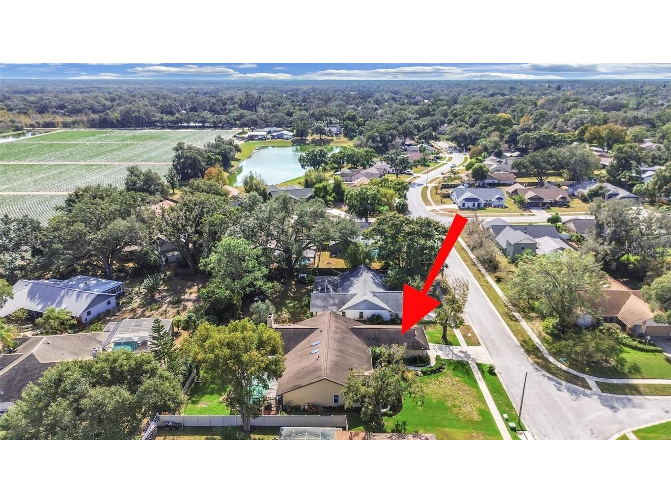 305 Running Horse Road Seffner FL 33584 TB8449747 image7