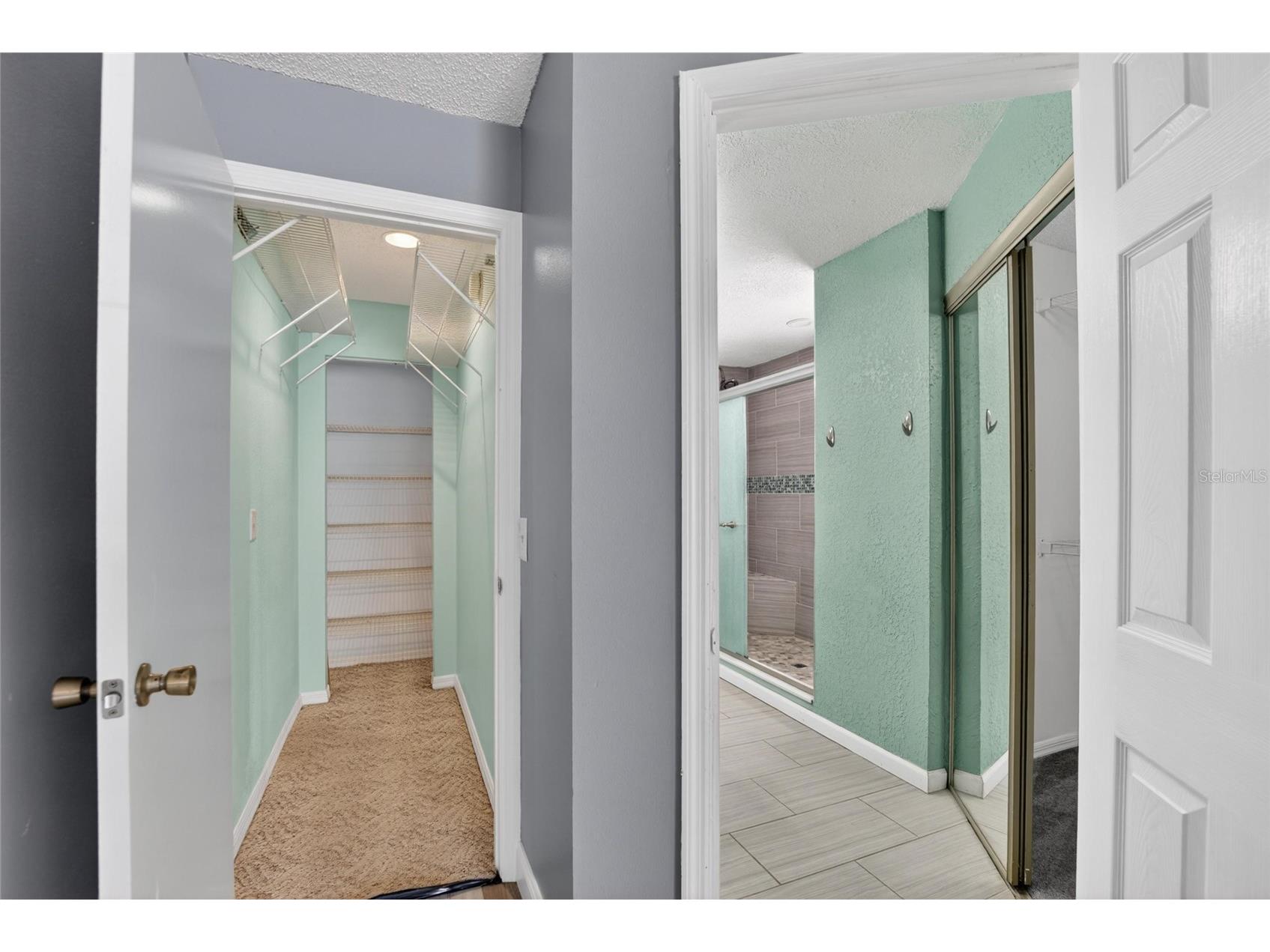 305 Sand Ridge Drive Valrico FL 33594 TB8505135 image16