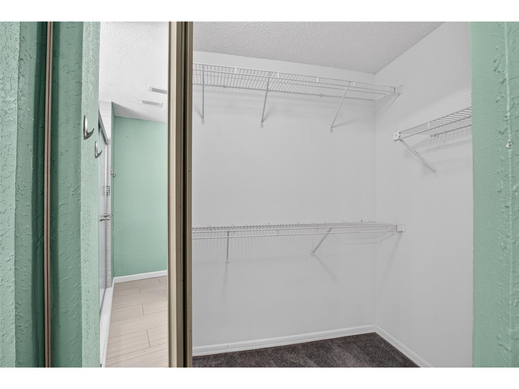 305 Sand Ridge Drive Valrico FL 33594 TB8505135 image18