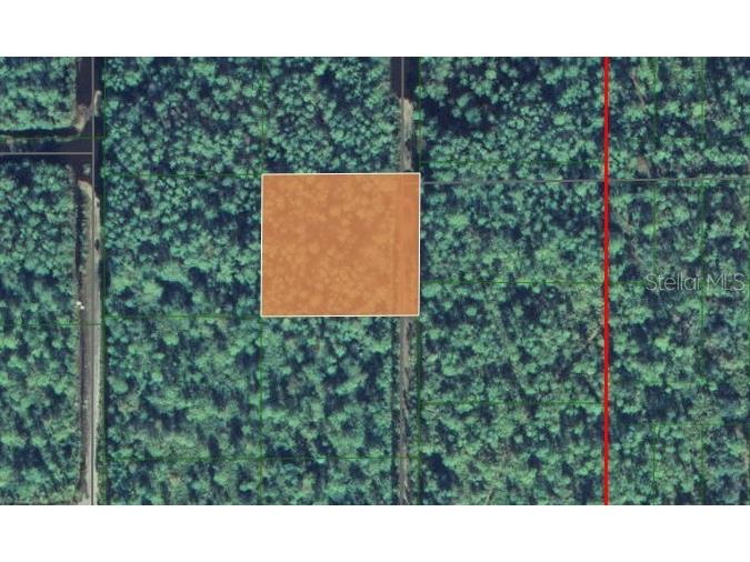 305 Squares Road Palatka FL 32177 U8213997 image1