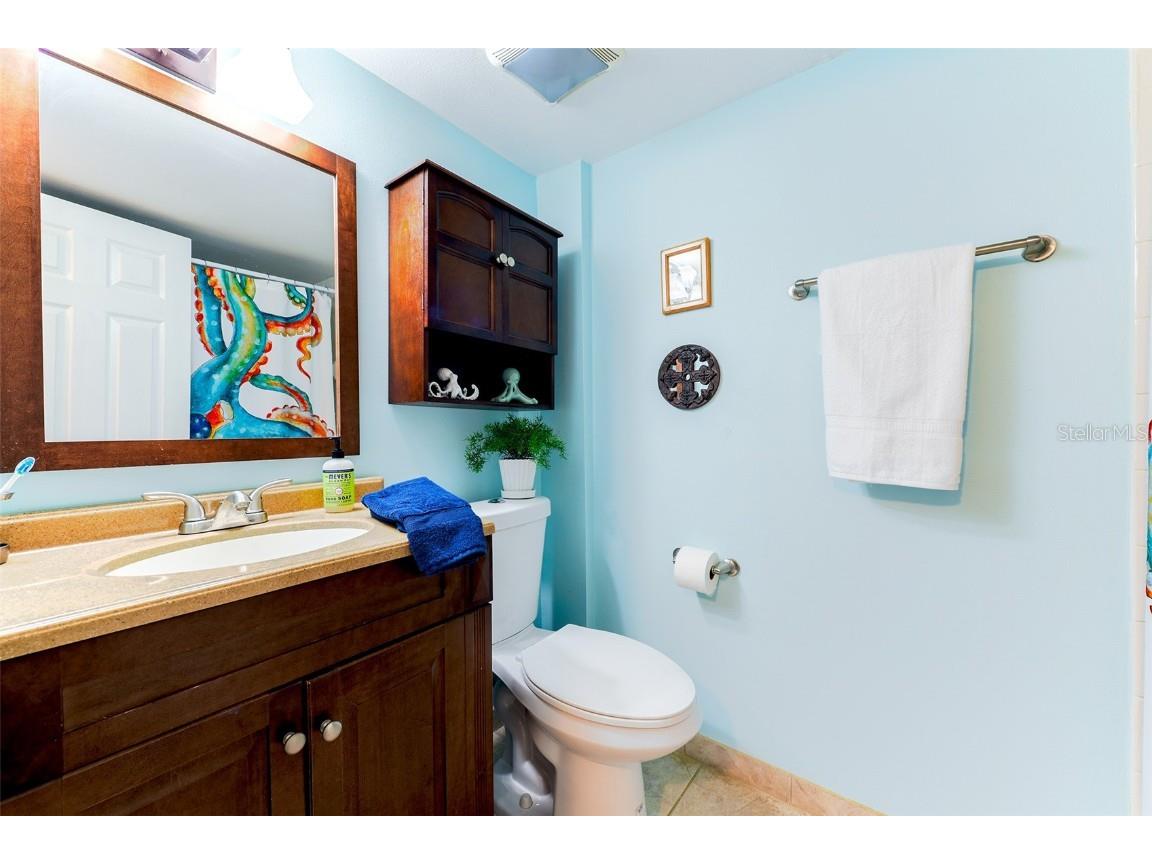 305 Tarpon Point Tarpon Springs FL 34689 TB8440774 image13