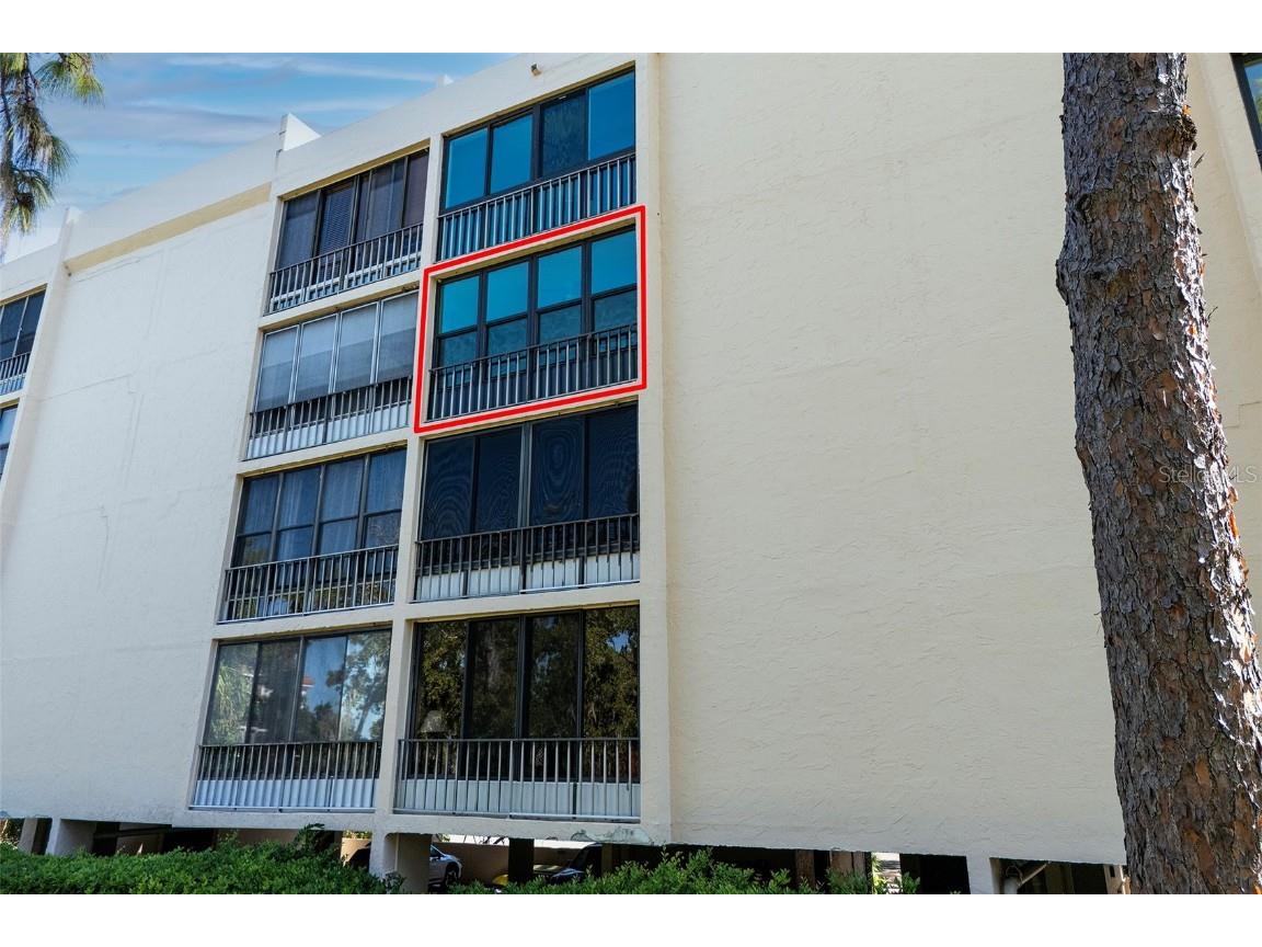 305 Tarpon Point Tarpon Springs FL 34689 TB8440774 image34