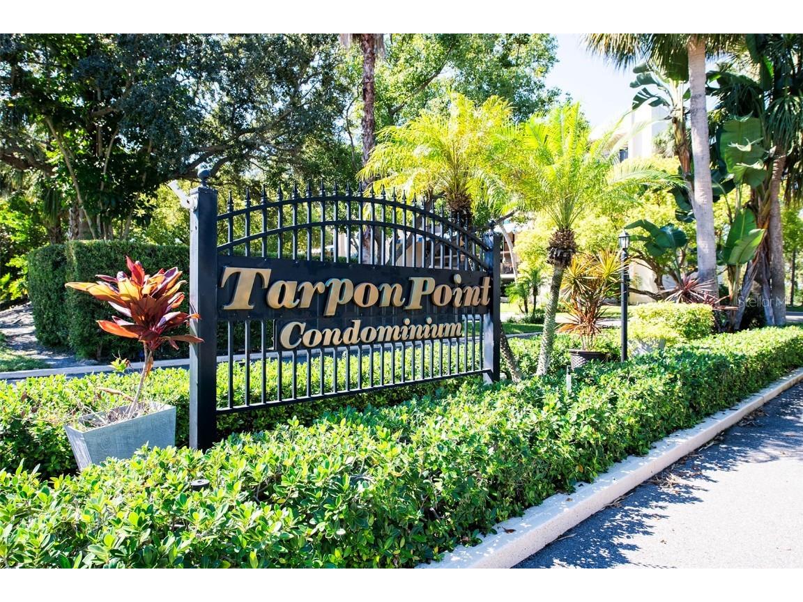 305 Tarpon Point Tarpon Springs FL 34689 TB8440774 image35