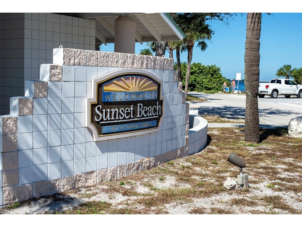 305 Tarpon Point Tarpon Springs FL 34689 TB8440774 image37
