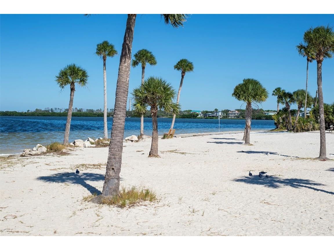 305 Tarpon Point Tarpon Springs FL 34689 TB8440774 image38