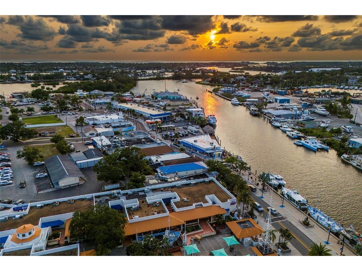 305 Tarpon Point Tarpon Springs FL 34689 TB8440774 image40
