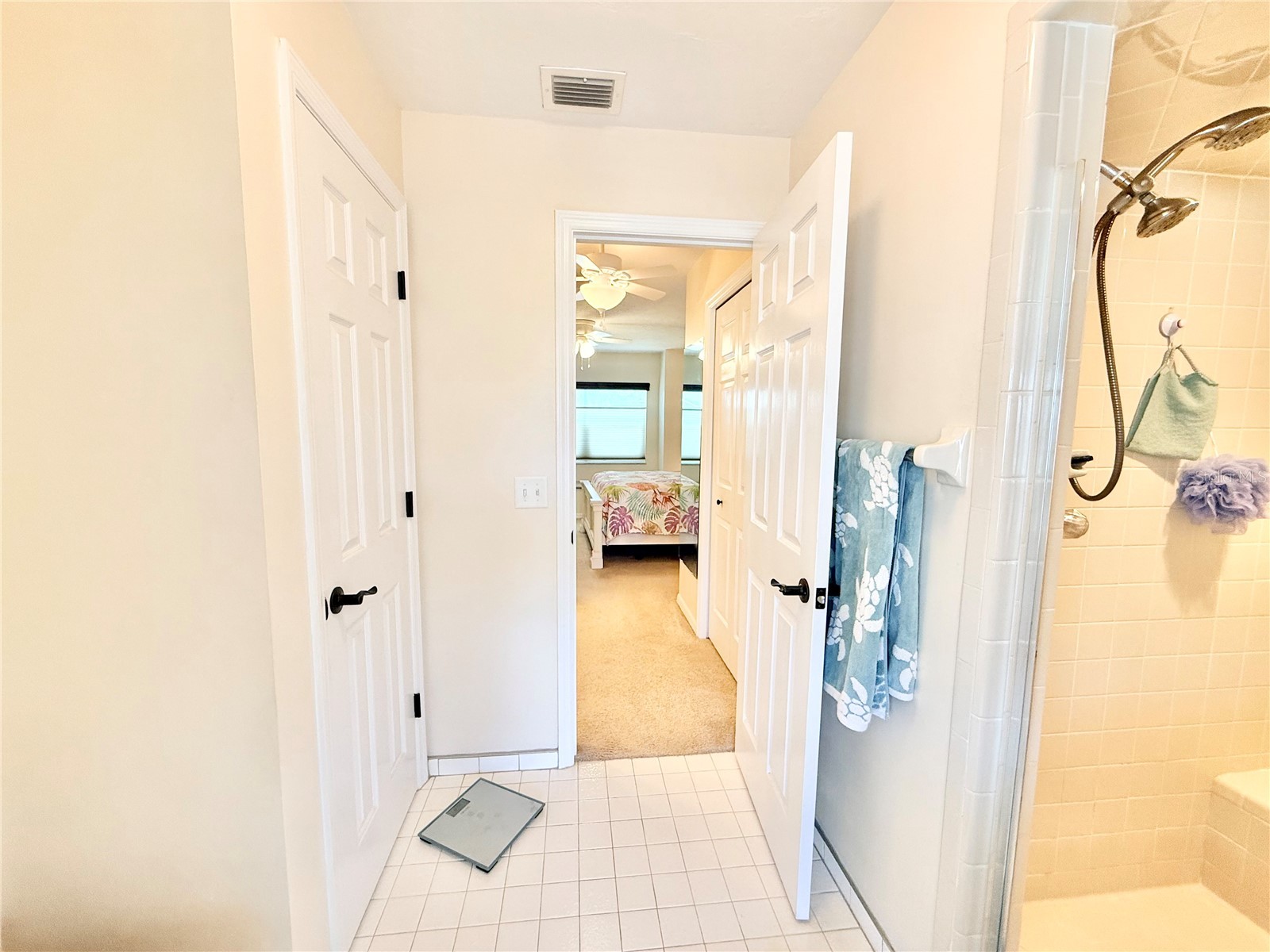 305 W Delaware Street Tavares FL 32778 - LAKE EUSTIS G5115352 image16