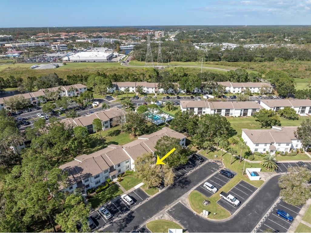 305 Windward Place #305 Oldsmar FL 34677 TB8313512 image1