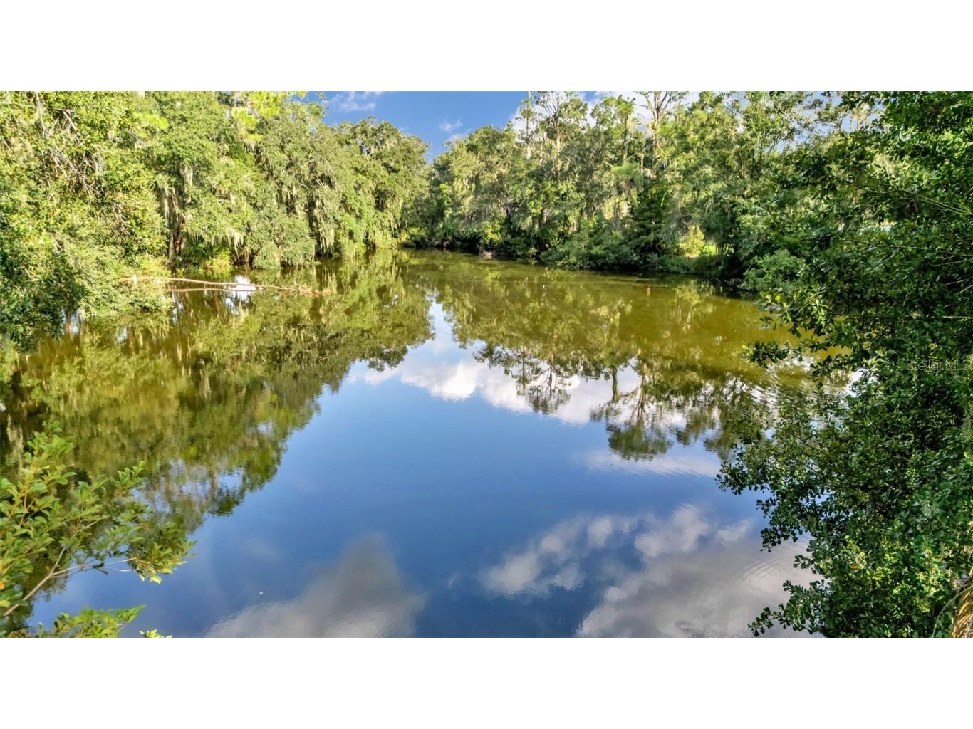 3050 Cross Fox Drive Mulberry FL 33860 L4955745 image47