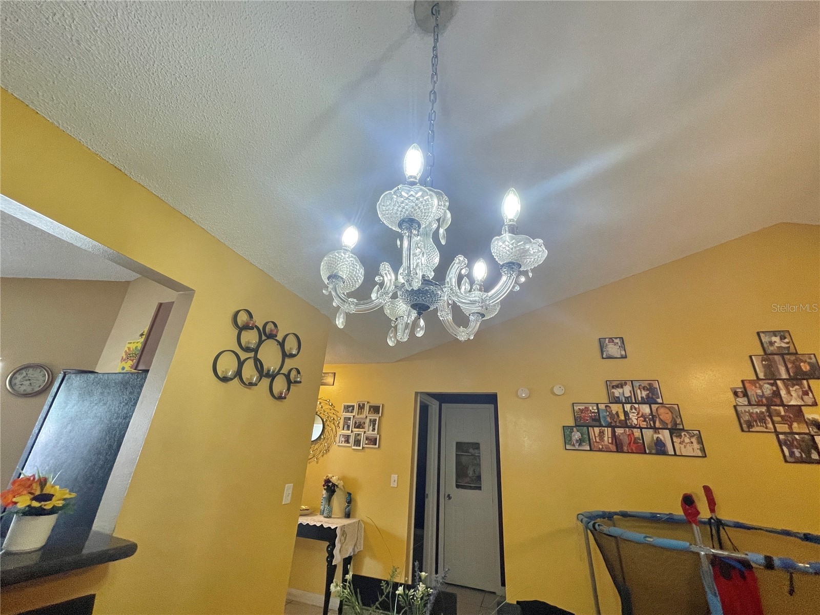 3050 Golden Rock Drive Orlando FL 32818 O6402581 image12