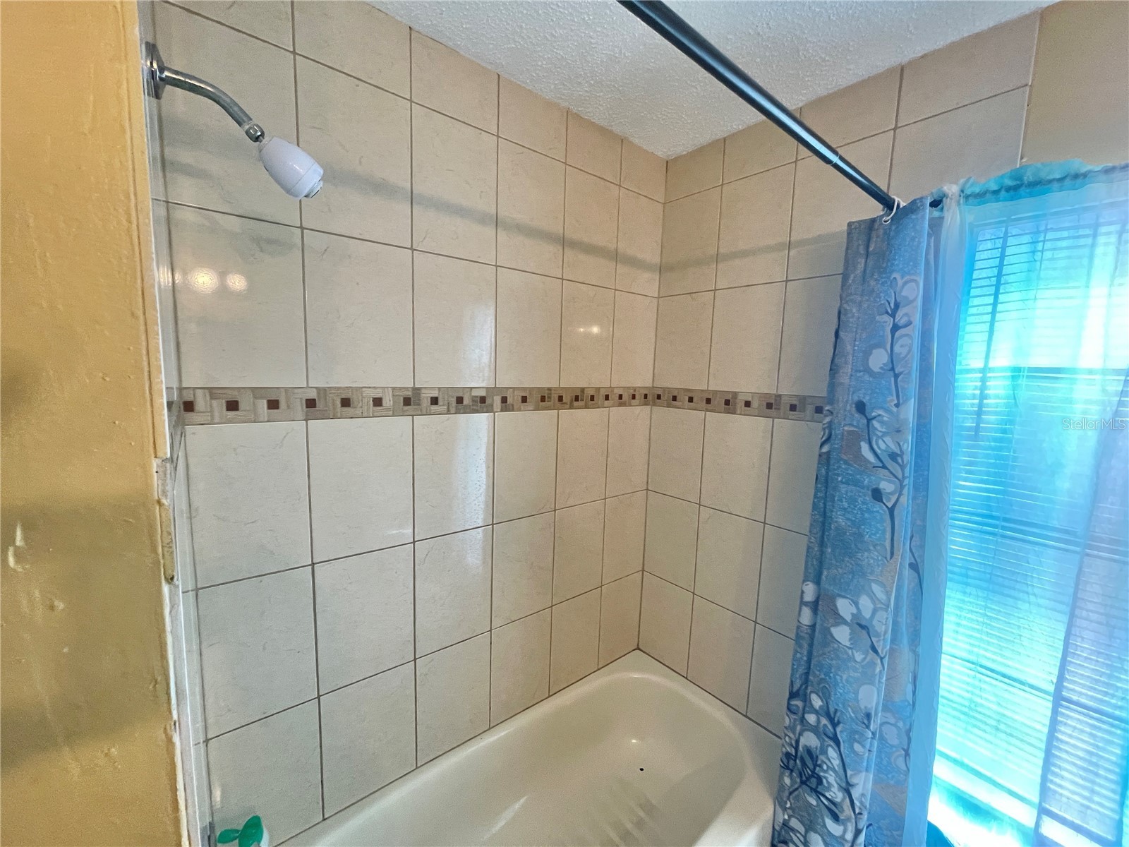 3050 Golden Rock Drive Orlando FL 32818 O6402581 image17