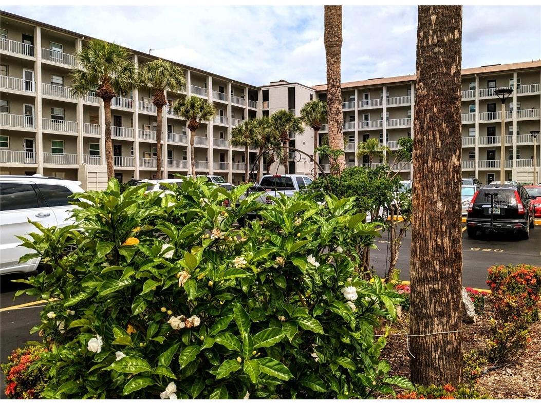 3050 Lake Bayshore Drive #O-108 Bradenton FL 34205 A4568283 image1