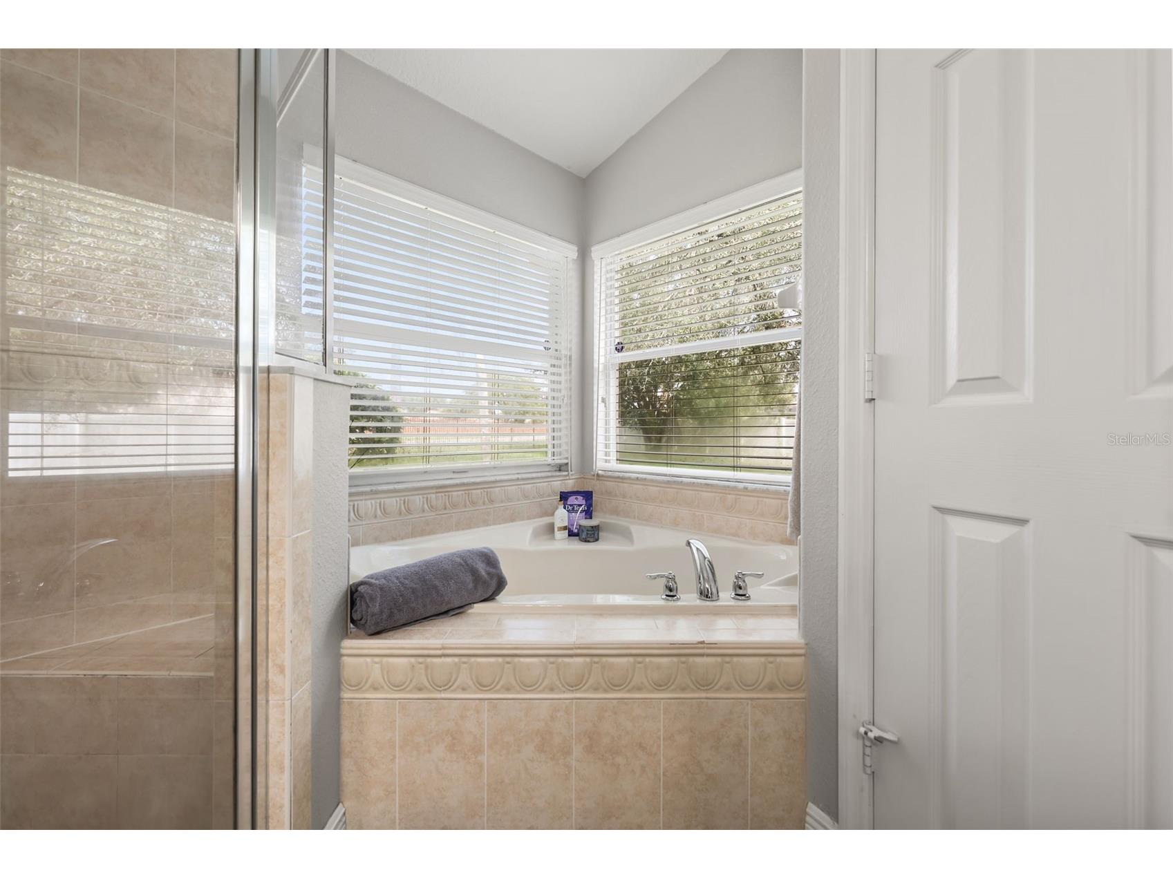 3050 Mountel Avenue Deltona FL 32725 O6423408 image16