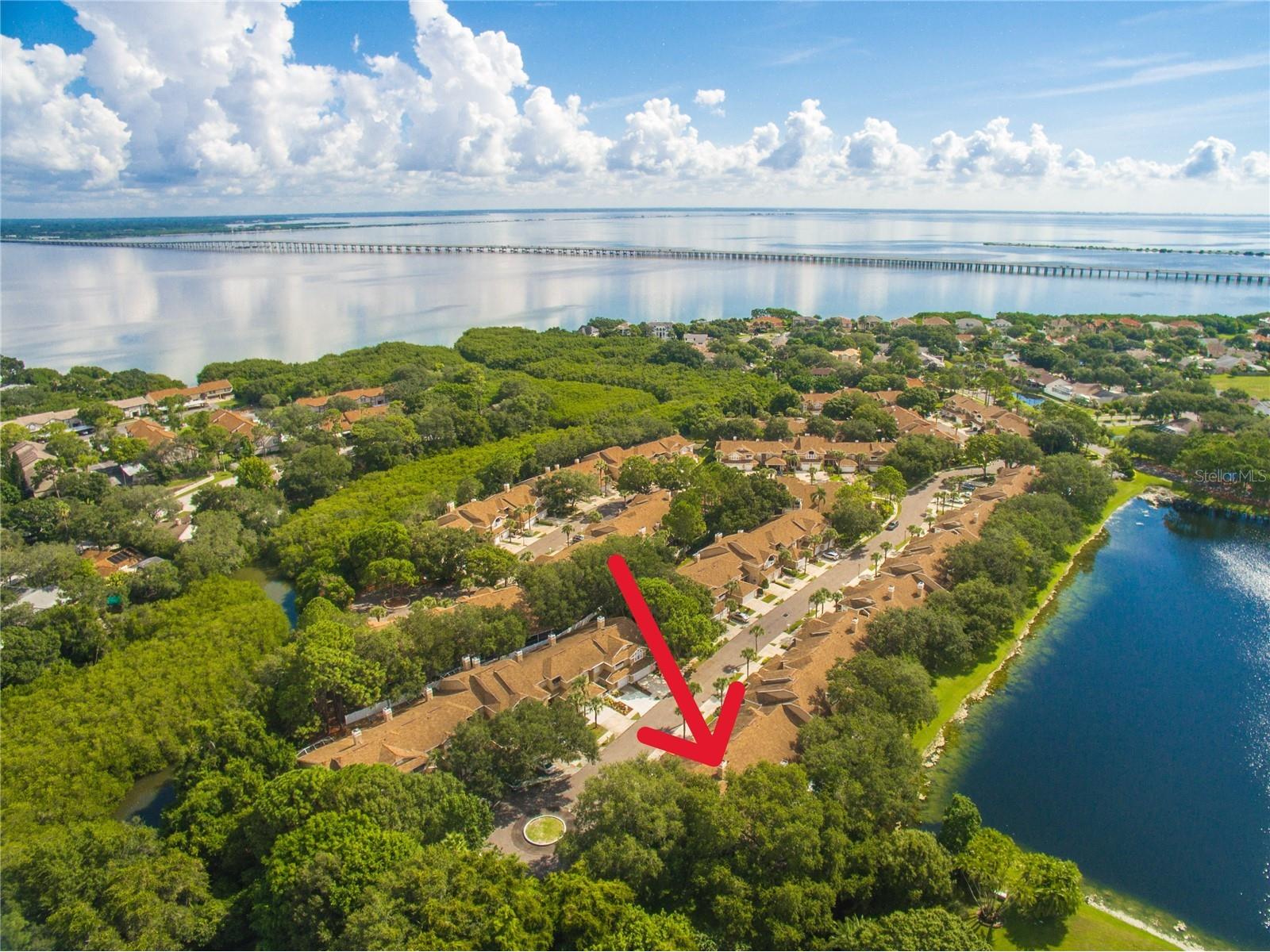 3050 Overlook Place Clearwater FL 33760 TB8519116 image1