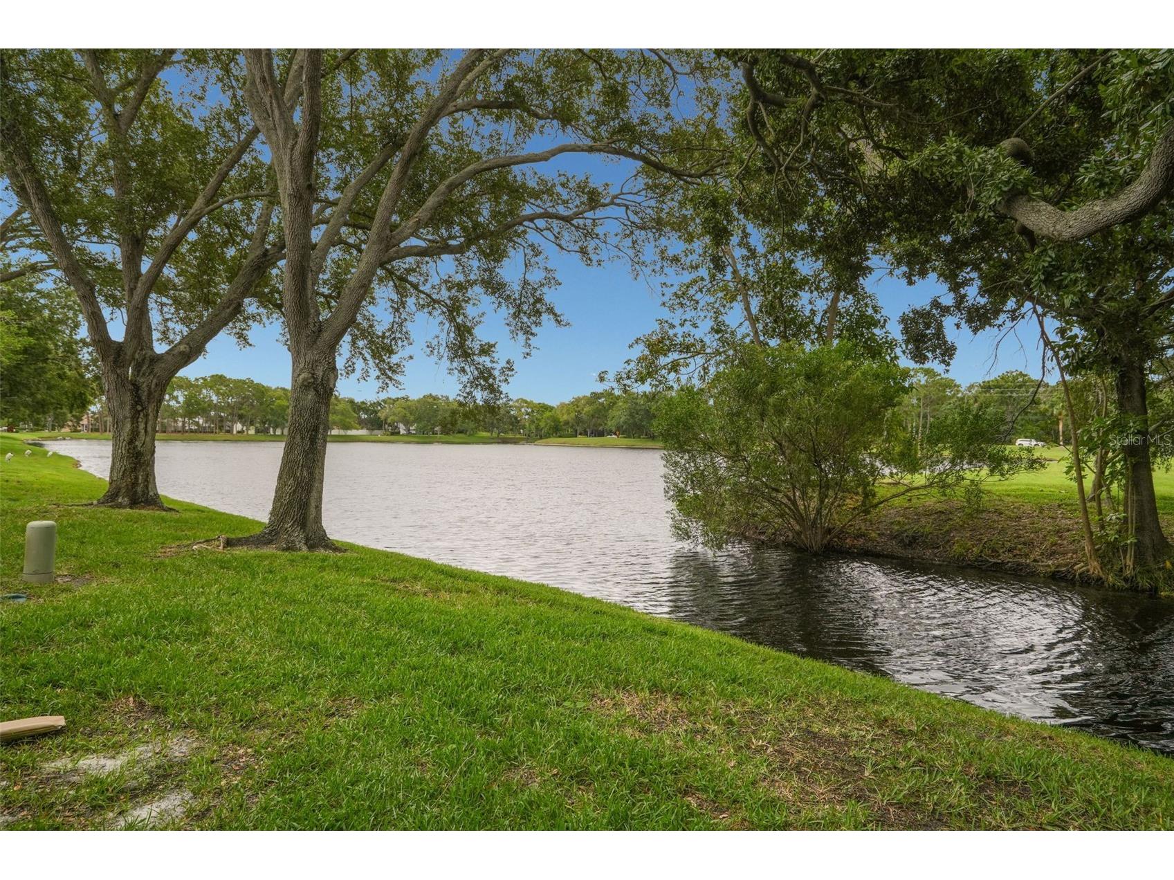 3050 Overlook Place Clearwater FL 33760 TB8519116 image24