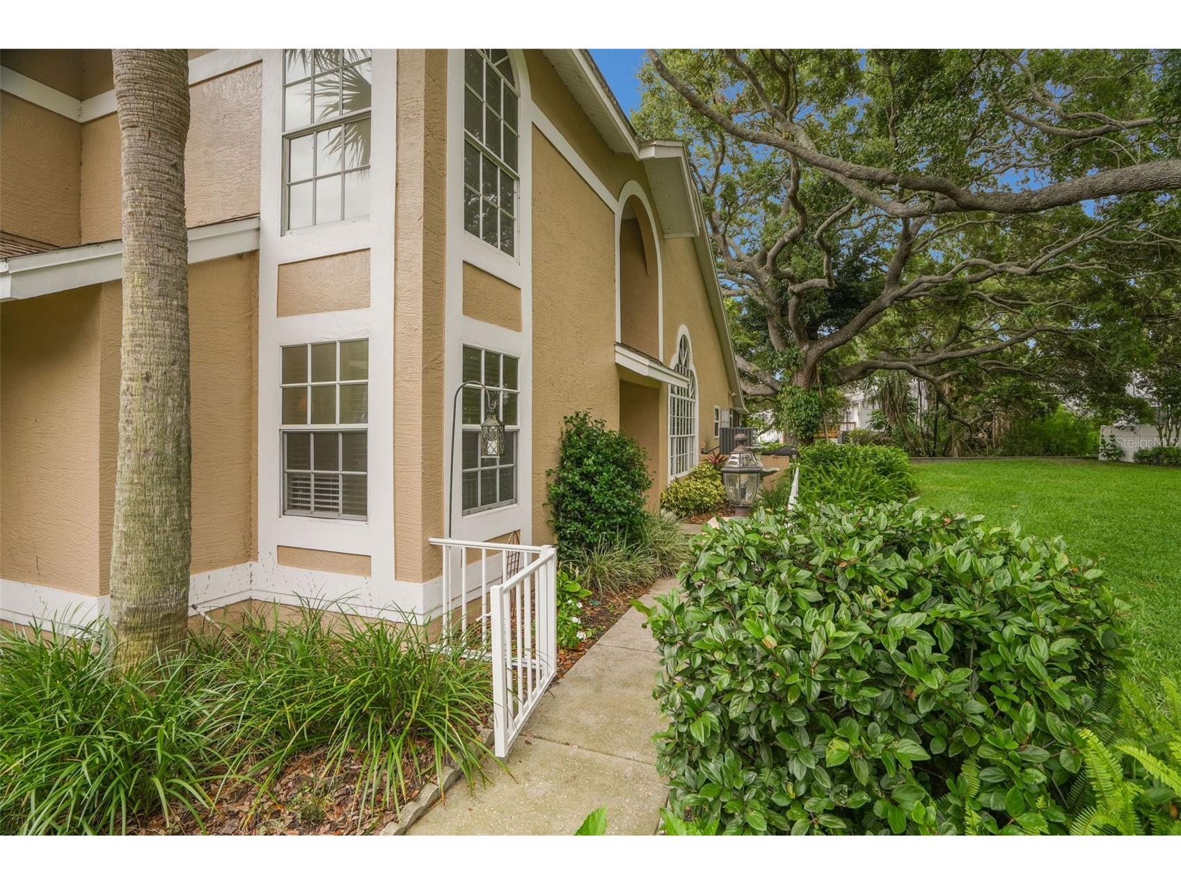 3050 Overlook Place Clearwater FL 33760 TB8519116 image26