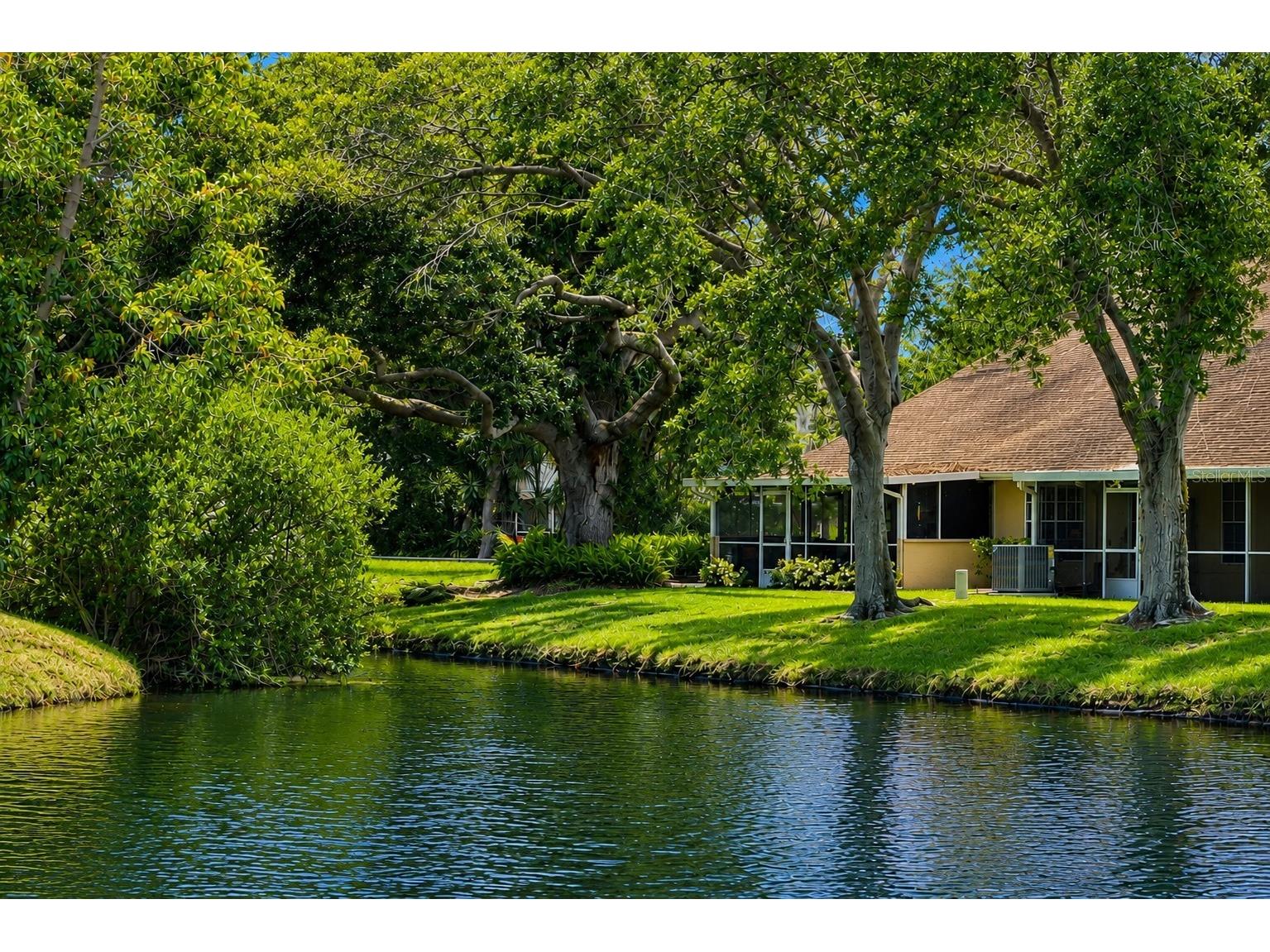 3050 Overlook Place Clearwater FL 33760 TB8519116 image4